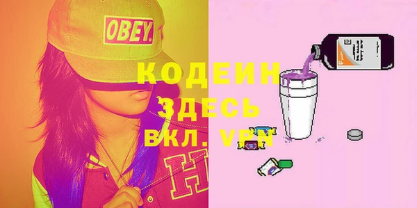 мдпв Абаза