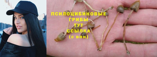 соль ск Алзамай
