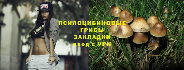 прущие крисы Алексеевка