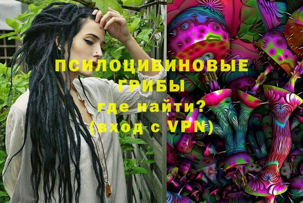 мдпв Абдулино