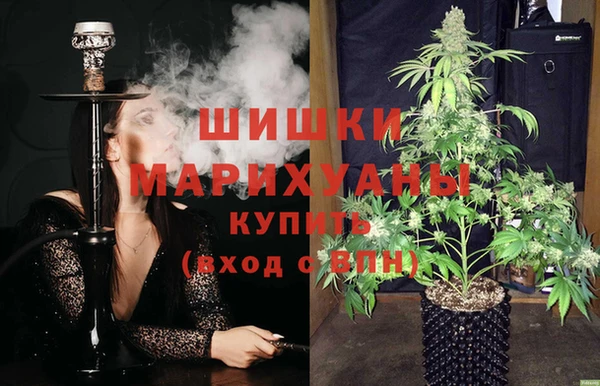 соль ск Алзамай