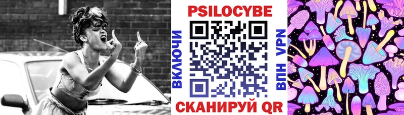 Галлюциногенные грибы мицелий  гидра ссылки  Чухлома 